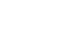 Wontech-Logo_weiss_transp.-150x250